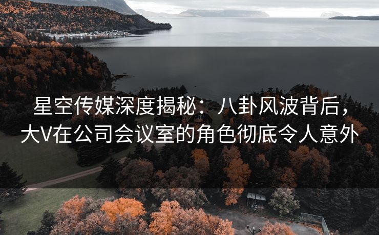 星空传媒深度揭秘：八卦风波背后，大V在公司会议室的角色彻底令人意外